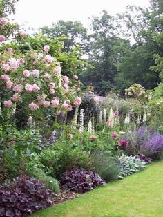 a garden filled with lots of different types of flowers