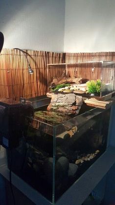 a fish tank sitting on top of a table next to a lamp and some plants