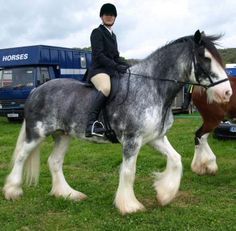 a woman riding on the back of a gray and white horse next to another horse