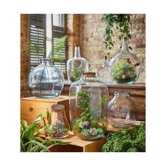 several glass vases filled with plants sitting on top of a wooden table next to a window