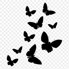 black and white butterflies flying in the sky, with transparent background png clipart