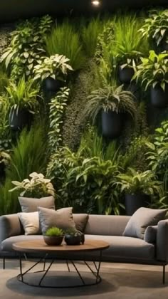 a living room filled with lots of green plants on the wall and couches in front of it