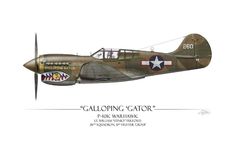 "Galloping Gator P-40k Warhawk by Artist Craig Tinder This Side-View Profile Fine Art Print illustrated by Artist Craig Tinder is printed on a heavy, luster substrate and is fade-resistant with an astonishingly high resolution to bring out rivet-level details.  Choose from 4 Different Paper Sizes and 2 Background Styles: A) Paper Print - 12\" x 8\" (30.5 cm x 20.3 cm) B) Paper Print - 18\" x 12\" (45.7 cm x 30.5 cm) C) Paper Print - 24\" x 16\" (60.9 cm x 40.6 cm) D) Paper Print - 30\" x 20\" (76 cm x 50.8 cm) White Background (classy, vibrant touch) About the Paper Prints: Each Limited Edition Fine Art Print is printed on archival presentation-quality, 260 GSM / 10 Mil, photographic paper created using the highest quality inks and archival techniques. Photographs do not do this paper subs Sabre Jet, Ken Taylor, Speed Of Sound, Pearl Harbor Attack, Aichi