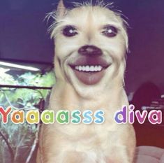 a dog with its mouth open and the words yaaaassa diya written on it