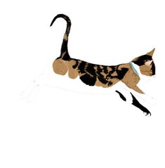 a cat that is jumping up in the air with its tail extended and it's eyes closed