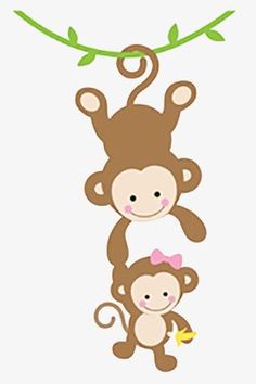 two monkeys hanging from a tree branch