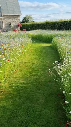 the house is surrounded by tall grass and flowers