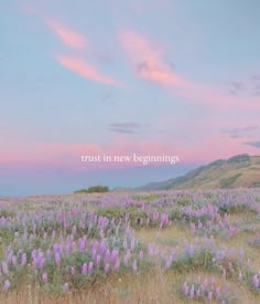 a field full of purple flowers under a pink sky with the words trust in new beginnings