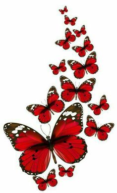 a red butterfly flying in the sky with words written below it that read, no enes to que logras