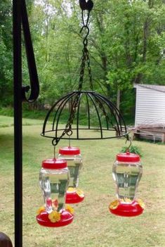 four hanging bird feeders in the yard