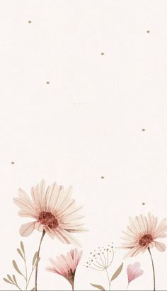 pink flowers are in the foreground with polka dots on white paper behind them and an empty space for text