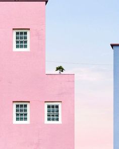 two tall pink buildings with windows on each side and a palm tree in the middle