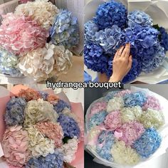 three pictures of different types of flowers and the words hydrangea bouquet