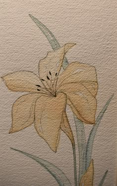 a drawing of a flower on the wall