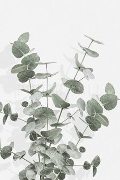 a vase filled with green leaves on top of a table