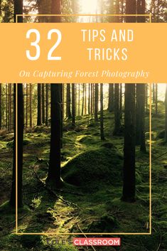 the cover of 32 tips and tricks on capturing forest photography by classroom, with trees in the background