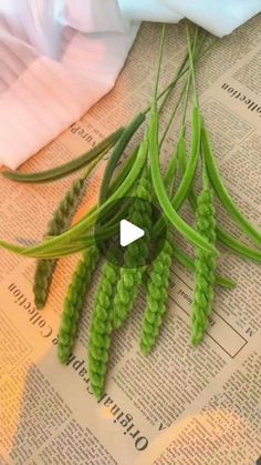 some green plants sitting on top of a newspaper