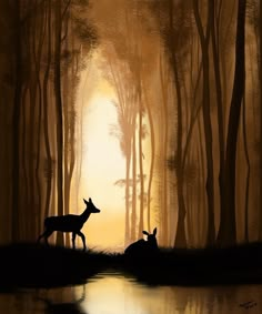 two deer standing next to each other in the woods