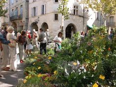 many people are standing in the middle of a garden with lots of plants and flowers