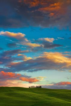 a group of people standing on top of a lush green field under a colorful sky