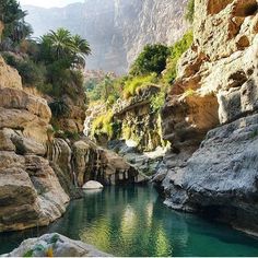 the water is crystal blue and clear in this rocky canyon area with palm trees on either side