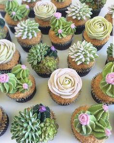 cupcakes decorated with flowers and succulents