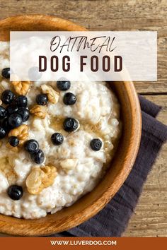 oatmeal dog food in a bowl with blueberries and walnuts on top