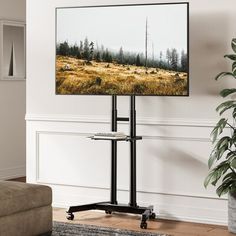 a flat screen tv mounted to the side of a wall next to a plant in a living room