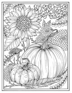 a coloring page with pumpkins and sunflowers