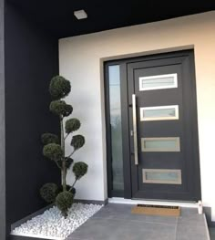 a black and white front door next to a gray entryway with a plant on the side