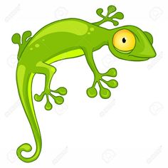 a green gecko with yellow eyes on white background - animals characters, people & pets