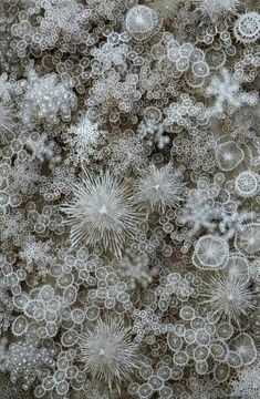 snow flakes are seen in this aerial view