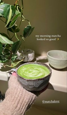 a person holding a bowl with green liquid in it next to a potted plant