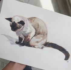 a drawing of a siamese cat sitting on top of a piece of white paper