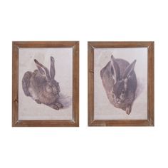 two framed pictures of rabbits hanging on the wall