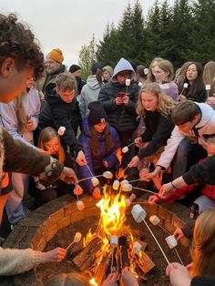 a group of people standing around a fire pit with marshmallows on sticks