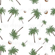 palm trees and coconuts on a white background