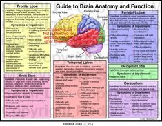 the brain and its functions are labeled in this poster, which includes information on how to use