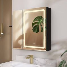 a bathroom sink with a mirror and a plant