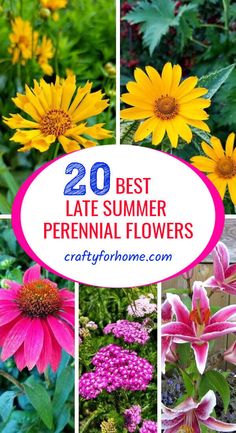 flowers with the words 20 best late summer perennials