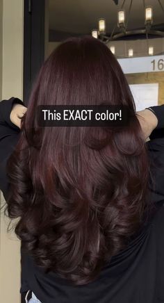 Wine Brown Hair Color, Hair Color Ideas Burgundy Maroon, Auburn Cherry Hair, Red Wine Sangria Hair Color, Hair Color Ideas Solid Colors, Dark Cherry Red Hair Asian, Red Tinted Hair Brunette, Red Wine Burgundy Hair, Wine Colored Hair Burgundy Dark