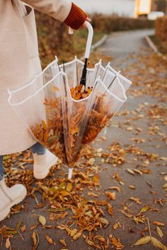 a person holding an umbrella with leaves on the ground