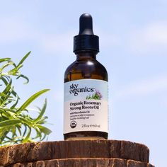 Organic Rosemary Strong Roots Oil – Sky Organics Organic Serum, Essential Oils For Hair, Macadamia Oil, Hair Essentials, Diy Essential Oils, Organic Hair, The Roots