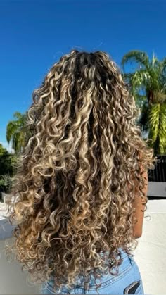 Partial Crown Highlights, Brown Hair With Highlights On Curly Hair, Sandy Blonde Highlights Curly Hair, Latina Curly Hair Color Ideas, Best Curly Hair Colors, Long Curly Hair With Blonde Highlights, Brown Curly Hair Boliage, Curly Dyed Hair Natural Curls Blonde, Blonde Tips Curly Hair