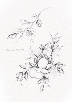 a black and white drawing of flowers