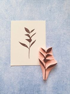 a piece of wood that is next to a leaf on a paper sheet with the image of a plant drawn on it