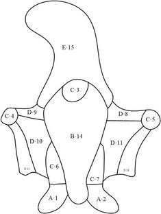 the diagram shows how to draw an animal's neck and head with numbers on it