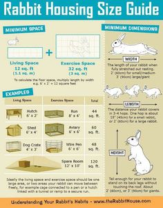 the rabbit house size guide for rabbits is shown in this screenshoter's manual