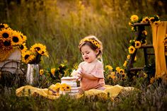 Infant Sunflower Photoshoot, Sunflower 1st Birthday Photoshoot, Zinnia Photoshoot, Sunflower Smash Cake, Sunflower Cake Smash, Sunflower Mini Session, Xare, 6 Month Baby Picture Ideas, Sunflower Cake