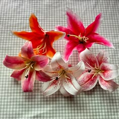 Summer/Spring Lily Hair Clips! These hairclips are perfect to jazz up any outfit, they truly go with anything and add a pop of color to your outfit! Flower Pins For Hair, Hair Flower Accessories, Lily Hair Clip, Lily Accessories, Bombshell Hair, Bohemian Style Jewelry, Dream Fashion, Vintage Hair Accessories, Flower Choker